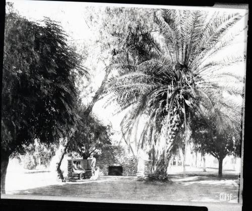 Ladies Sitting in a Park
