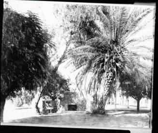 Ladies Sitting in a Park