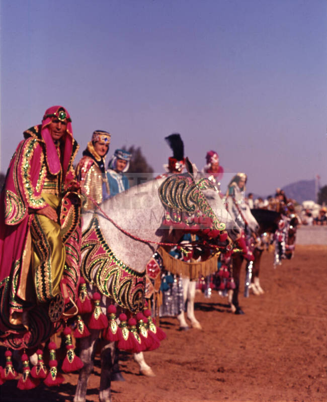 Arabian Horse Show