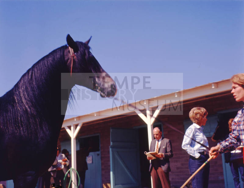 Horse Show entrant