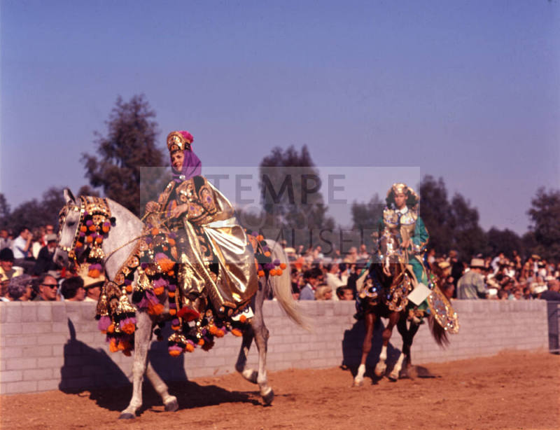 Arabian Horse Show