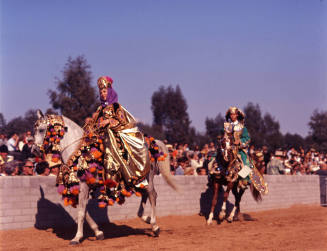 Arabian Horse Show