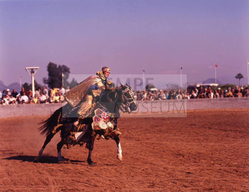 Arabian Horse Show performer