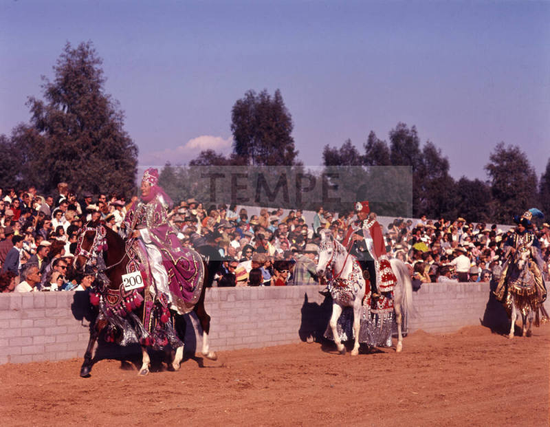 Arabian Horse Show performers