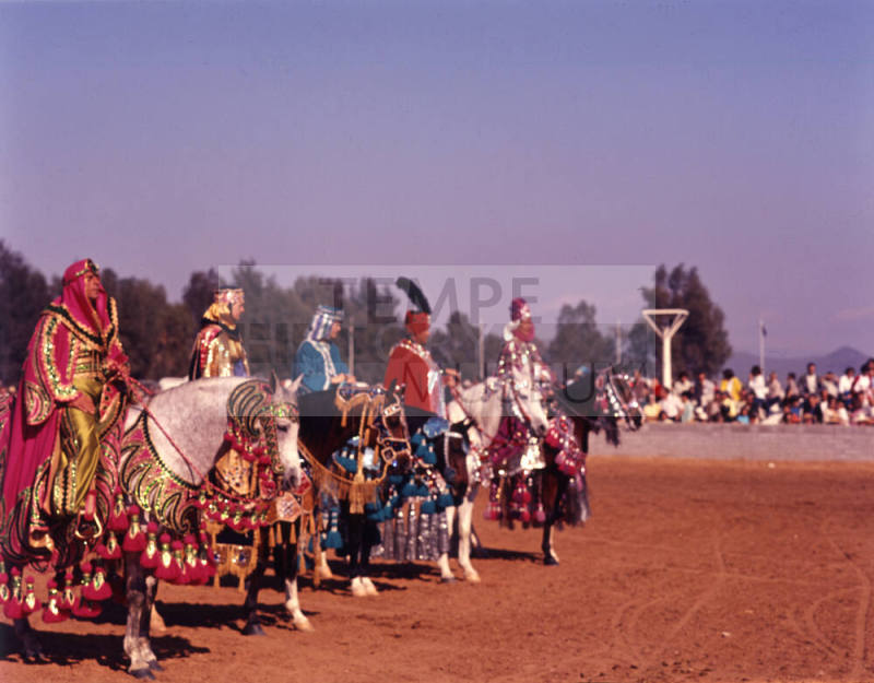 Arabian Horse Show