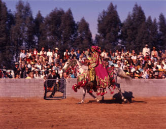 Arabian Horse Show
