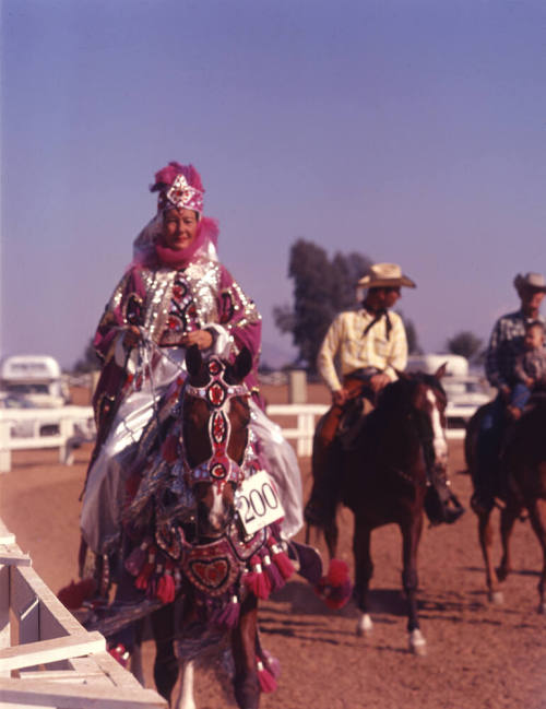 Arabian Horse Show performer