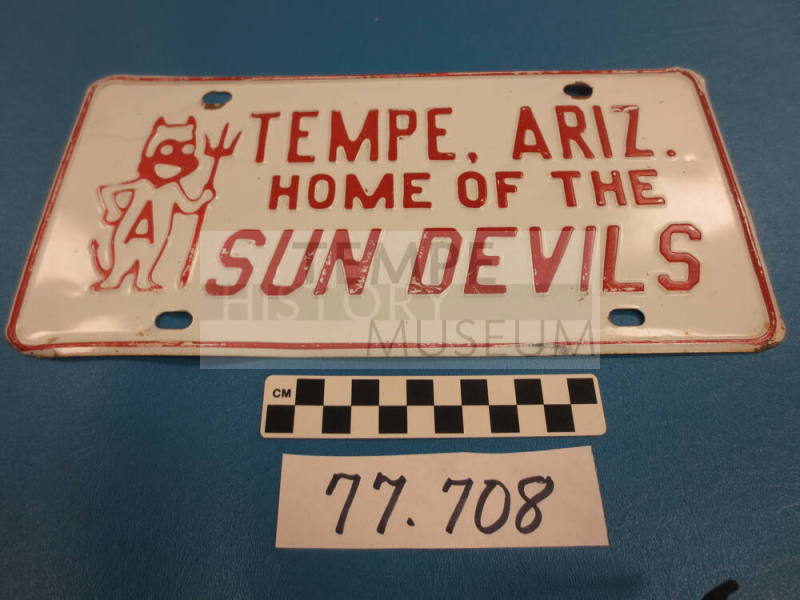 License Plate