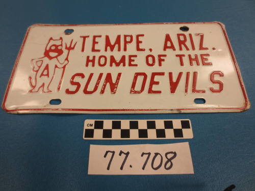 License Plate