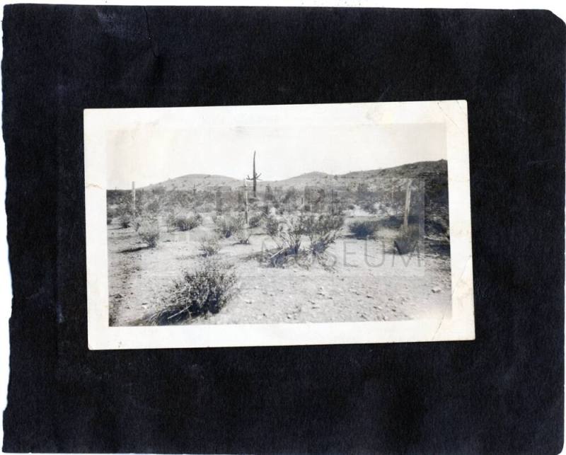 Photograph of a Desert Scene with cacti