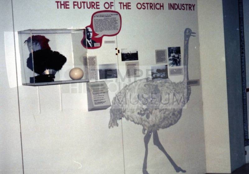 The Future of The Ostrich Industry Exhibit