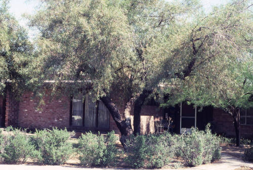 Property Address:  625 West 17th Place, Tempe, Arizona
Subdivision Address:  Bowen Place, Tempe, Arizona