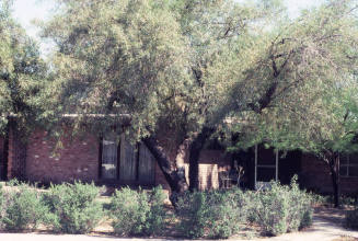 Property Address:  625 West 17th Place, Tempe, Arizona
Subdivision Address:  Bowen Place, Tempe, Arizona
