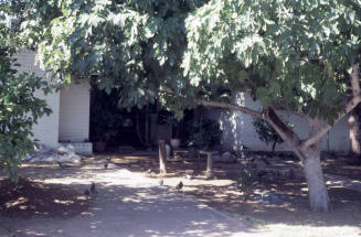 Property Address:  520 West 15th Street, Tempe, Arizona
Subdivision Address:  Campus Homes, Tempe, Arizona