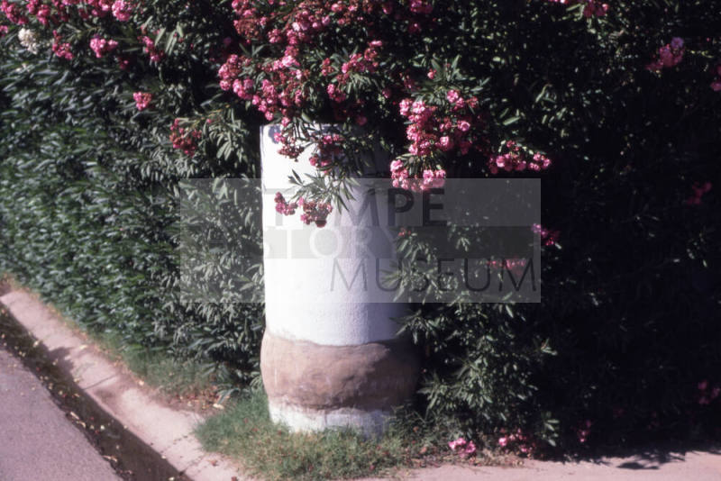 Property Address:  Irrigation Feature, Tempe, Arizona
Subdivision Address:  Campus Homes, Tempe, Arizona