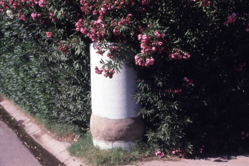 Property Address:  Irrigation Feature, Tempe, Arizona
Subdivision Address:  Campus Homes, Tempe, Arizona