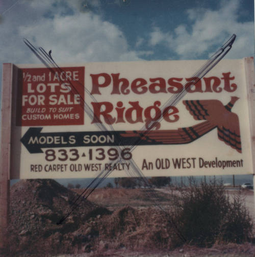 Pheasant Ridge Custom Homes - 7605 South Willow Drive, Tempe, Arizona