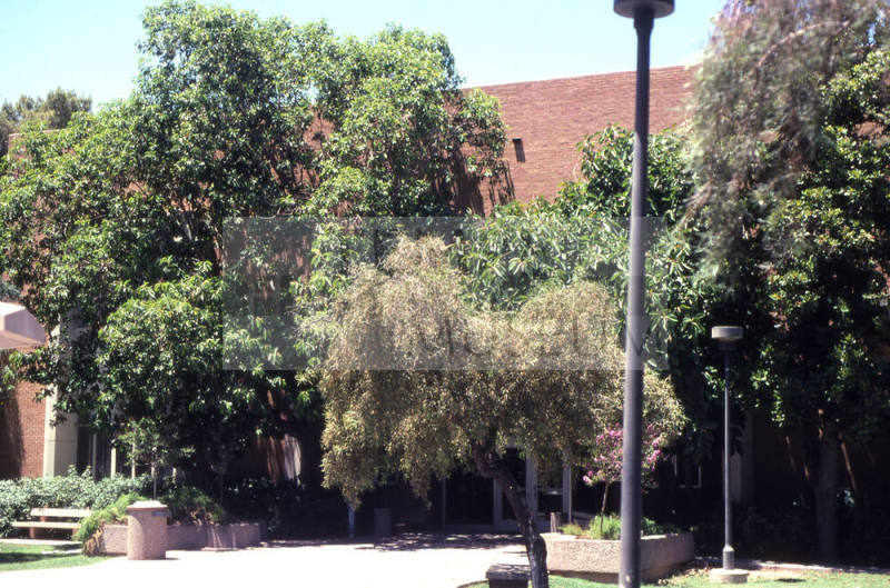 Property Address:  Home Economics Building, Tempe, Arizona
Subdivision Address:  ASU Campus