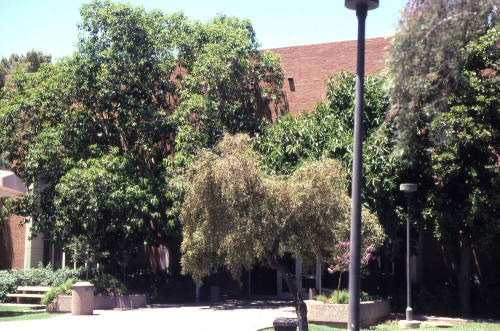 Property Address:  Home Economics Building, Tempe, Arizona
Subdivision Address:  ASU Campus
