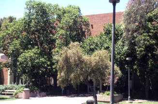 Property Address:  Home Economics Building, Tempe, Arizona
Subdivision Address:  ASU Campus