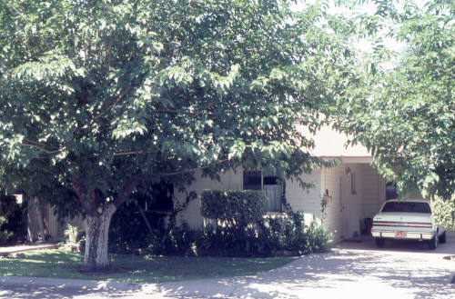 Property Address:  1408 South Farmer Avenue, Tempe, Arizona
Subdivision Address:  Campus Homes
