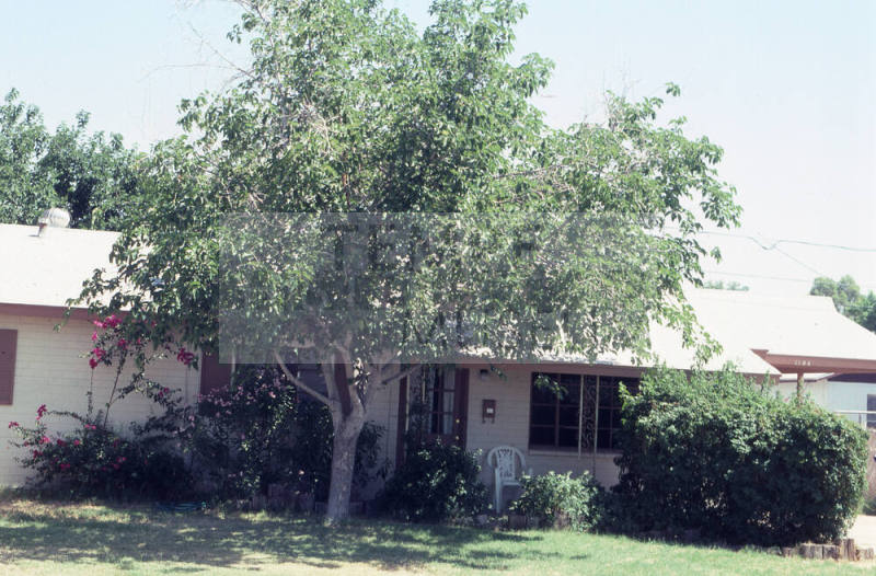 Property Address:  1104 West 17th Place, Tempe, Arizona
Subdivision Address:  Parkside Manor