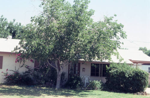 Property Address:  1104 West 17th Place, Tempe, Arizona
Subdivision Address:  Parkside Manor