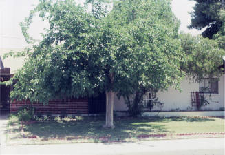 Property Address:  1809 South Roberts Road, Tempe, Arizona
Subdivision Address:  Parkside Manor