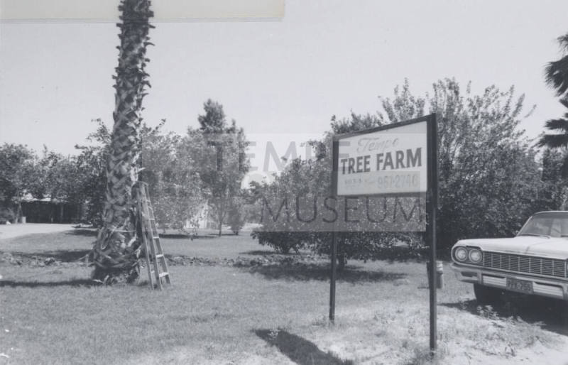 Tempe Tree Farms - 1034 West 1st Street, Tempe, Arizona