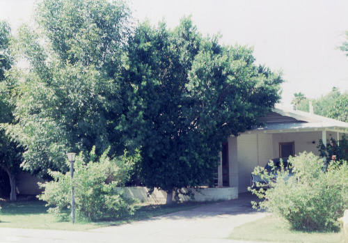 Property Address:  1230  West 9th Street, Tempe, Arizona
Subdivision Address:  Westgate
