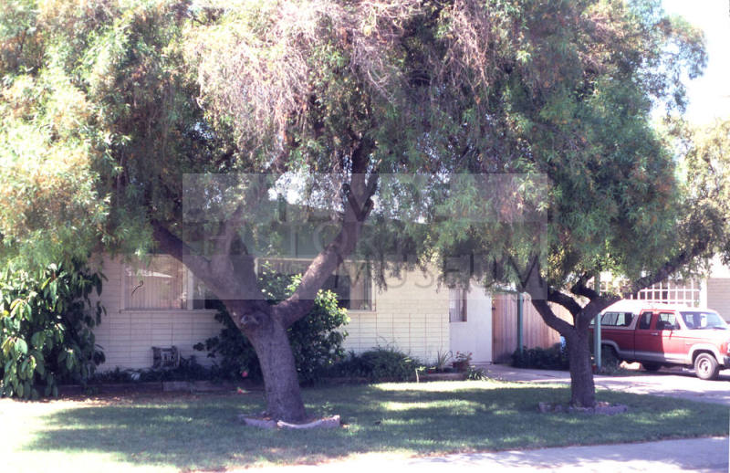Property Address:  1343 West Elna Rae Street, Tempe, Arizona
Subdivision Address:  Margo Manor