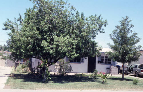 Property Address:  2064 East Howe Avenue, Tempe, Arizona
Subdivision Address:  Lee Park