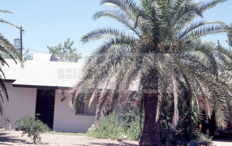Property Address:  722 East Encanto Drive, Tempe, Arizona
Subdivision Address:  University Heights