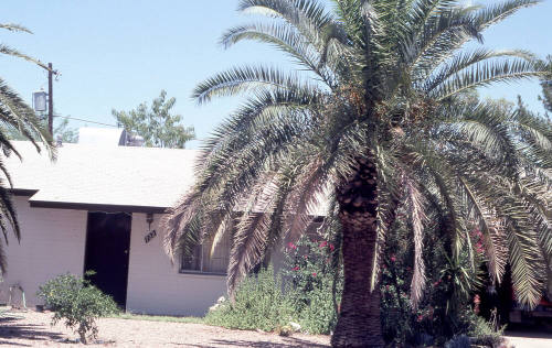 Property Address:  722 East Encanto Drive, Tempe, Arizona
Subdivision Address:  University Heights