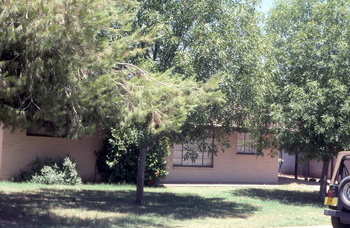 Property Address:  728 East Encanto Drive, Tempe, Arizona
Subdivision Address:  University Heights
