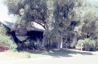 Property Address:  508 East Solana Drive, Tempe, Arizona
Subdivision Address:  University Heights