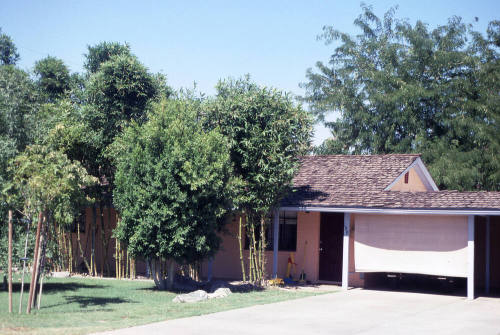 Property Address:  188 East Vista del Cerro Drive, Tempe, Arizona
Subdivision Address:  University Estates