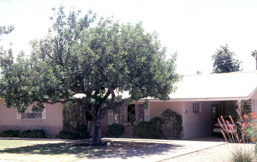 Property Address:  209 East McKinley Street, Tempe, Arizona
Subdivision Address:  Papago Parkway