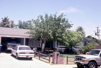 Property Address:  16 East Fillmore Street, Tempe, Arizona
Subdivision Address:  Papago Parkway