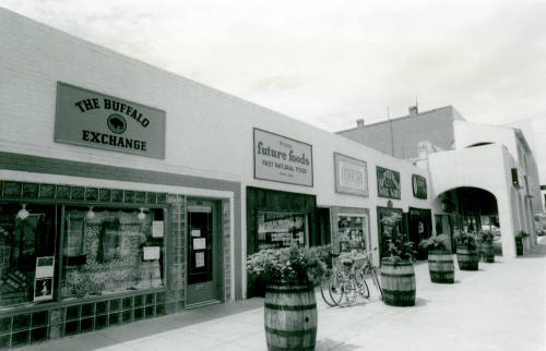 Arizona Future Foods Restaurant - 9 East 5th Street, Tempe, Arizona