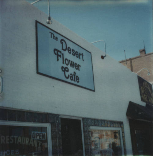 The Desert Flower Café - 9 East 5th Street, Tempe, Arizona