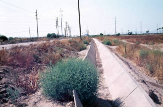 Ditch at Kiwanis Park site