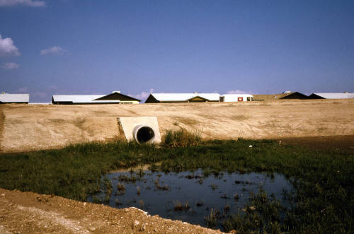 Drainage culvert and water at Kiwanis Park site