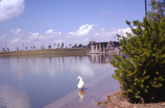 Kiwanis Park lake