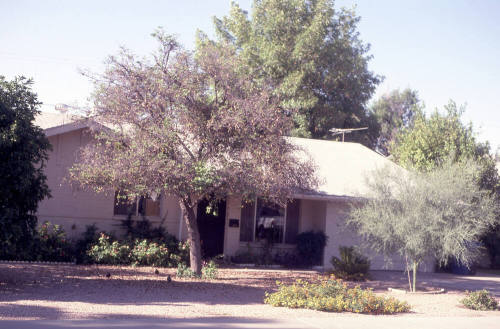 Property Address:  1014 East Concorda Drive, Tempe, Arizona
Subdivision Address:  Hughes Acres