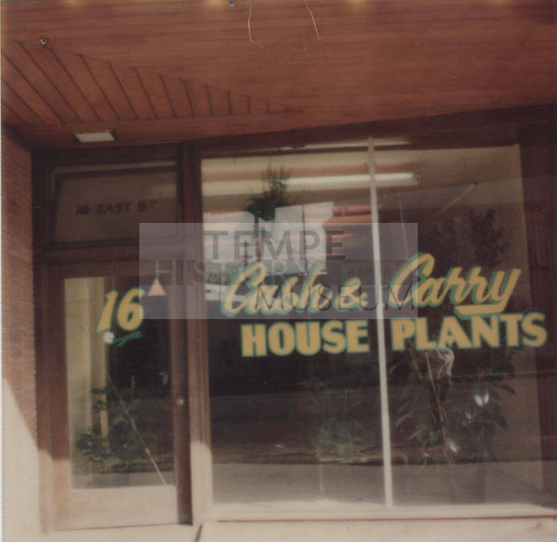 Cash and Carry House Plants - 16 East 5th Street, Tempe, Arizona