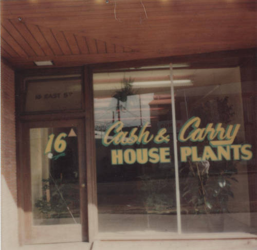Cash and Carry House Plants - 16 East 5th Street, Tempe, Arizona