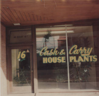 Cash and Carry House Plants - 16 East 5th Street, Tempe, Arizona