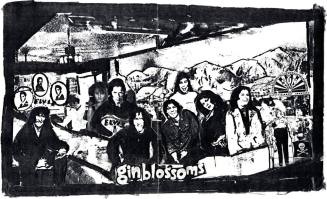 Elvis the Cat and Gin Blossoms poster