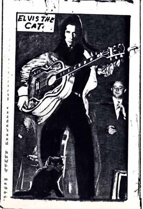 Elvis the Cat poster